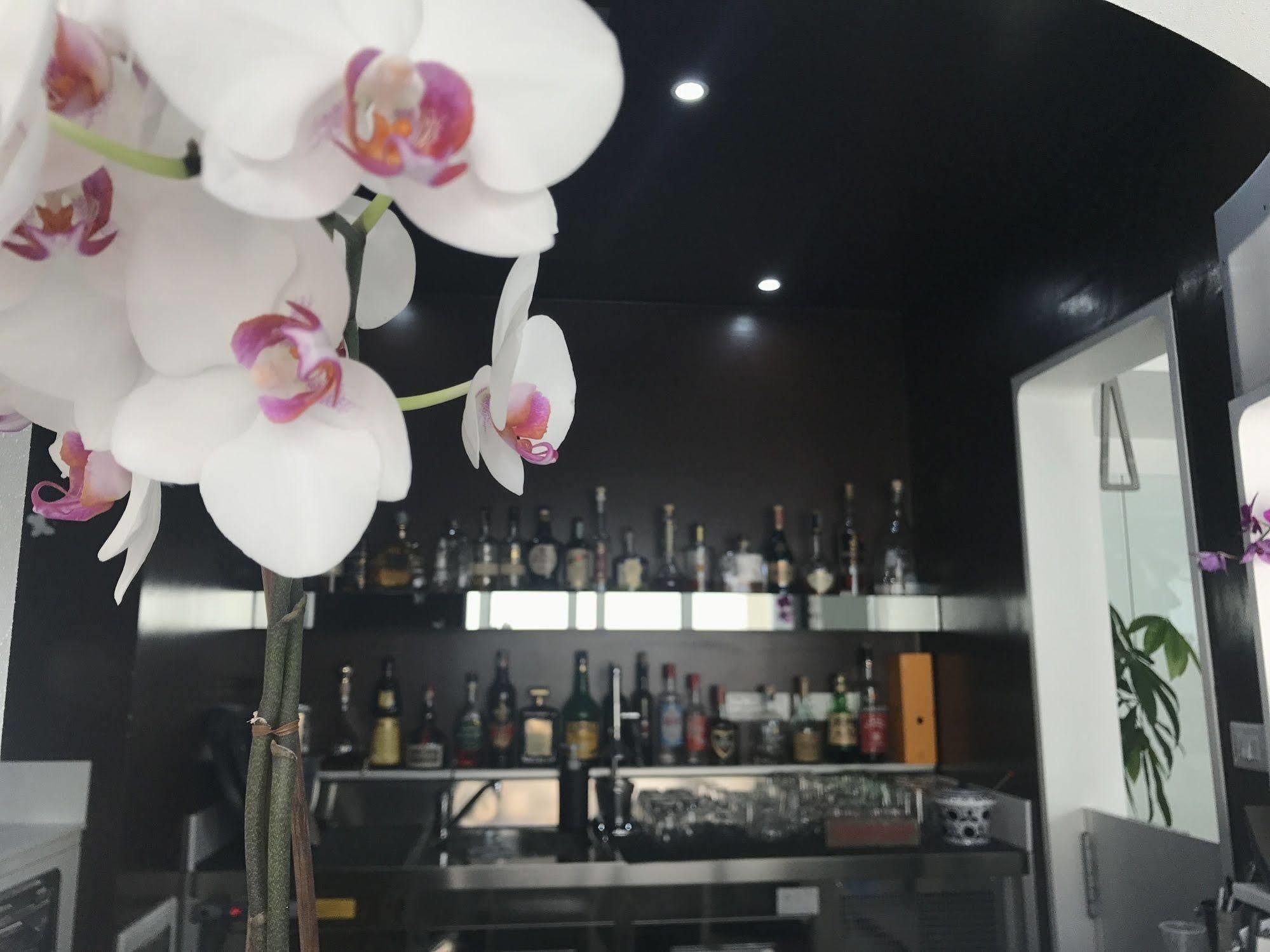 Quihotel Porto Cesareo Exteriér fotografie